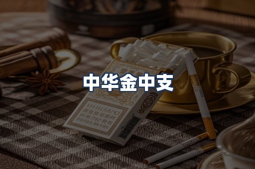 中华金中支